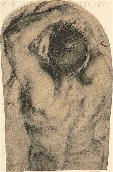 Half-Length Recumbent Male Nude Seen from the Back, c. 1590, Pietro Faccini, Italian, c. 1562-1602, Italy, Charcoal, with stumping, touches of oil paint, and traces of lead white (discolored), on tan laid paper, 355 x 232 mm