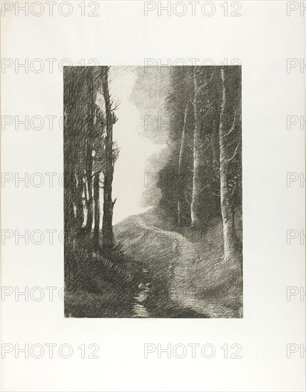 Landscape with Birch Trees, 1878, Alphonse Legros (French, 1837-1911), printed by Lemercier et Compagnie (French, 19th century), France, Lithograph in black on ivory China paper, laid down on ivory wove paper, 439 × 311 mm (image), 440 × 315 mm (chine), 677 × 530 mm (sheet)