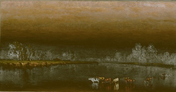 Cows in a Pond at Sunset, 1860, Sanford Robinson Gifford, American, 1823–1880, New York, Oil on canvas, 19.1 × 35.9 cm (7 1/2 × 14 1/8 in.)