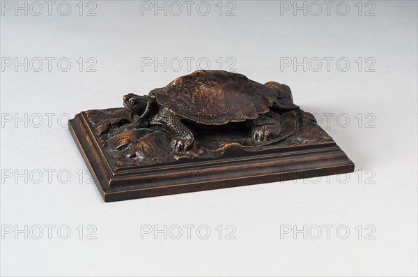 Turtle, c. 1820, Antoine Louis Barye, French, 1795-1875, France, Bronze, 4.4 × 13.3 × 9.2 cm (1 3/4 × 5 1/4 × 3 5/8 in.)