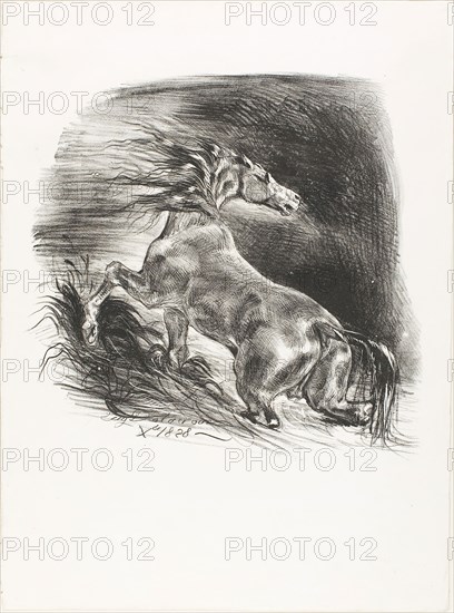 Wild Horse, or Frightened Horse Leaving the Water, 1828, Eugène Delacroix, French, 1798-1863, France, Lithograph, in black, on white wove paper, 230 × 240 mm (image), 361 × 278 mm (sheet)
