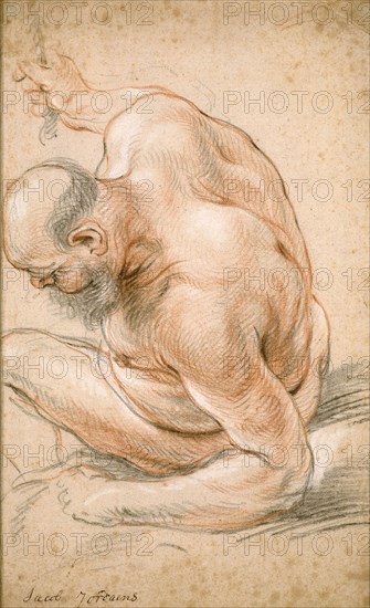 Nude Old Man Seated, Leaning on His Forearm, Facing Left, c. 1640, Jacob Jordaens, Flemish, 1593-1678, Flanders, Red and black chalk, with touches of white chalk, on cream laid paper, 344 × 217 mm