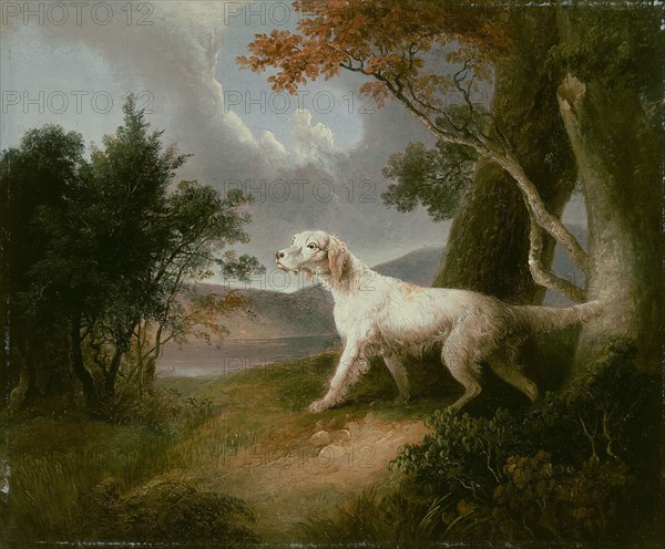 Landscape with Dog, 1832, Thomas Doughty, American, 1793–1856, United States, Oil on composition board, 24.8 × 29.2 cm (9 3/4 × 11 1/2 in.)