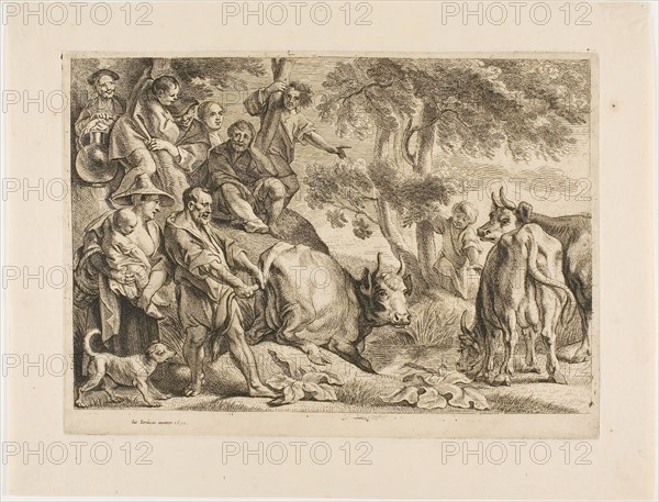 The Master Pulls the Cow Out of the Ditch by its Tail, 1652, Jacob Jordaens, Flemish, 1593-1678, Flanders, Etching on cream laid paper, 225 × 314 mm (plate), 207 × 303 mm (sheet)
