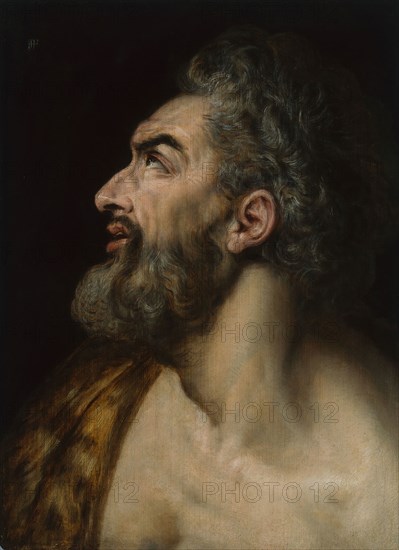 Study Head of a Bearded Man, c. 1565, Frans Floris, Netherlandish, 1519/20-1570, Flanders, Oil on panel, 18 5/16 × 13 1/4 in. (46.5 × 33.6 cm)