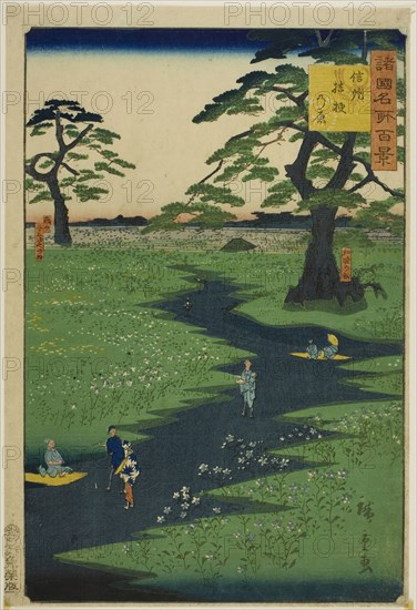 Kikyo Plain, Shinshu Province (Shinshu Kikyogahara) from the series One Hundred Famous Views in the Various Provinces (Shokoku meisho hyakkei), 1860, Utagawa Hiroshige II (Shigenobu), Japanese, 1826–1869, Japan, Color woodblock print