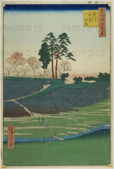 Goten Hill at Shinagawa (Shinagawa Gotenyama), from the series One Hundred Famous Views of Edo (Meisho Edo hyakkei)v, 1856, Utagawa Hiroshige ?? ??, Japanese, 1797–1858, Japan, Color woodblock print, oban
