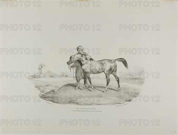 An Arabian Horse, plate 8 from Various Subjects Drawn from Life on Stone, 1821, Jean Louis André Théodore Géricault (French, 1791-1824), printed by Charles Joseph Hullmandel (German and English, 1789-1850), published by Rodwell and Martin, France, Lithograph in black on ivory wove paper, 170 × 335 mm (image), 377 × 495 mm (sheet)