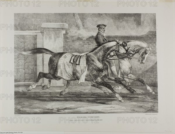 Horses Exercising, plate 6 from Various Subjects Drawn from Life on Stone, 1821, Jean Louis André Théodore Géricault (French, 1791-1824), printed by Charles Joseph Hullmandel (German and English, 1789-1850), published by Rodwell and Martin, France, Lithograph in black on ivory wove paper, 294 × 414 mm (image), 377 × 496 mm (sheet)