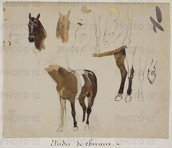 Studies of Horses, n.d., Jules-Élie Delaunay, French, 1828-1891, France, Graphite, with ink wash and touches of gouache, on buff wove paper, 222 × 267 mm
