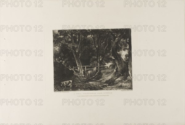 A Dell, Helmingham Park, Suffolk, 1830, David Lucas (English, 1802-1881), after John Constable (English, 1776-1837), England, Mezzotint in black ink on heavy ivory wove paper, 178 × 225 mm (plate), 305 × 465 mm (sheet)