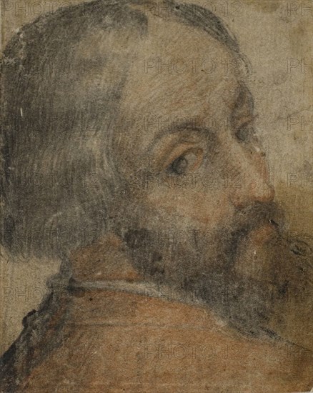 Portrait of Bearded Man (Lodovico Ariosto?), 1550/59, Italian, Mid-16th Century, Italy, Red and black chalk on cream laid paper, laid down on cream laid paper, 100 x 80 mm