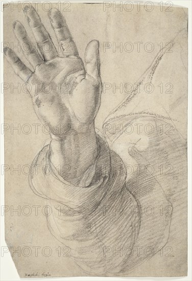 Upraised Right Hand, with Palm Facing Outward: Study for Saint Peter, 1518/20, Raffaello Sanzio, called Raphael, Italian, 1483-1520, Italy, Black chalk, heightened with white chalk and lead white, partially oxidized, over stylus underdrawing, on cream laid paper, 286 x 197 mm