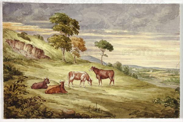 Deer Park, possibly Kilkenny, 1843, Elizabeth Murray, English, c. 1815-1882, England, Watercolor over graphite on ivory wove paper, 117 mm × 176 mm