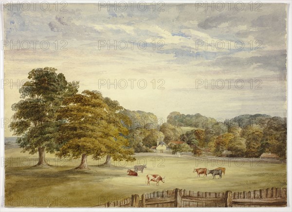 Six Cows Grazing before Country House, n.d., Elizabeth Murray, English, c. 1815-1882, England, Watercolor over graphite on cream wove paper, 260 mm × 362 mm