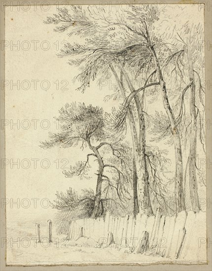 At Pittsfield in June, n.d., Attributed to William Henry Stothard Scott of Brighton, English, 1783-1850, England, Graphite, with spray fixative, on cream wove paper, tipped onto board, 183 × 142 mm