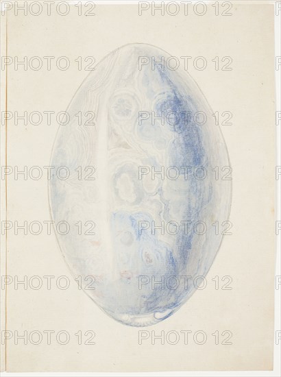 Overview of Oval Shell Stone, n.d., Giuseppe Grisoni, Italian, born Flanders, 1699-1769, Flanders, Gouache over black chalk, on ivory laid paper, 157 × 215 mm