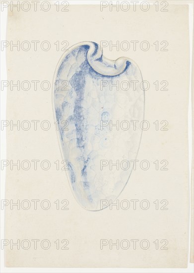 Overview of Lavender Elongated Shell, n.d., Giuseppe Grisoni, Italian, born Flanders, 1699-1769, Flanders, Gouache on ivory laid paper, 215 × 148 mm