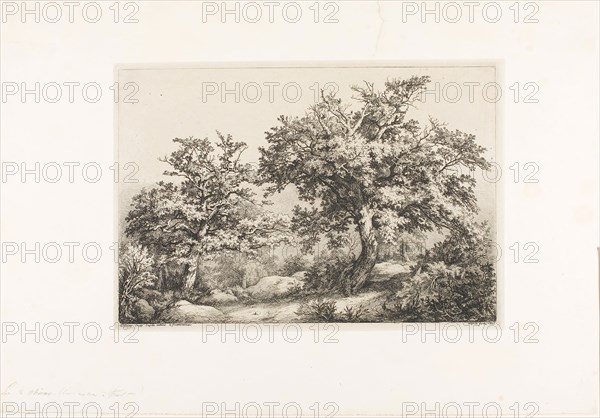 The Two Oaks, Fontainebleau, 1842, Eugène Blery, French, 1805-1887, France, Etching, roulette, and drypoint on ivory wove chine collé on ivory wove paper, 204 × 297 mm (plate), 317 × 456 mm (sheet)