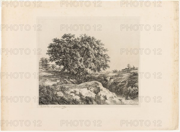 The Bouquet of Trees, or The Lindens (Souvenir of the Sarthe), 1861, Eugène Blery, French, 1805-1887, France, Etching and drypoint on ivory wove chine collé on ivory wove paper, 280 × 401 mm (plate), 435 × 589 mm (sheet)