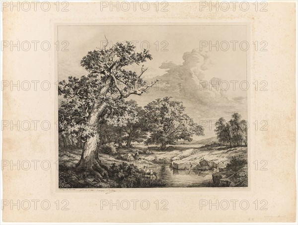 The Old Oak by the Pools at Bellecroix, 1843, Eugène Blery, French, 1805-1887, France, Etching on ivory chine collé, laid down on ivory wove paper, 430 × 480 mm (plate), 525 × 699 mm (sheet)