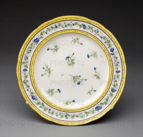 Plate, 1788, Sèvres Porcelain Manufactory, French, founded 1740, Painted by André-Vincent Vielliard, French, 1717-90, active 1752-90, Sèvres, Soft-paste porcelain, polychrome enamels, and gilding, Diam. 24.4 cm (9 9/16 in.)