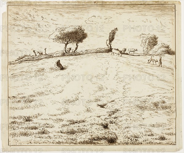 Landscape, Hillside in Gruchy, Normandy, 1869/70, Jean François Millet, French, 1814-1875, France, Pen and brown ink on cream laid paper, 304 × 365 mm