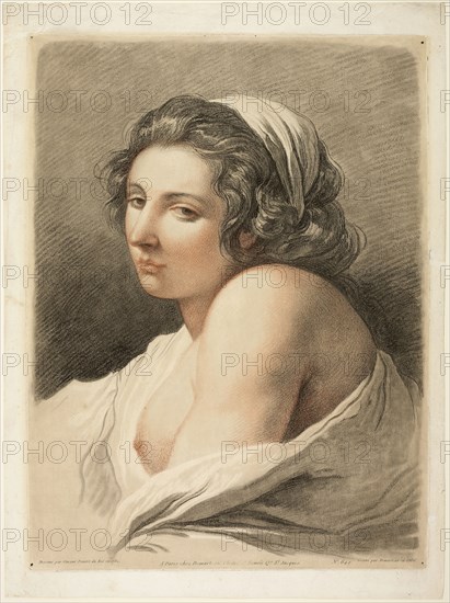 Large Female Head, c. 1786, Gilles Antoine Demarteau, the Younger (Flemish, c. 1750-1806), after Francois-Andre Vincent (French, 1746-1816), Flanders, Color crayon-manner etching and engraving on ivory laid paper, 533 × 411 mm (plate), 593 × 440 mm (sheet)