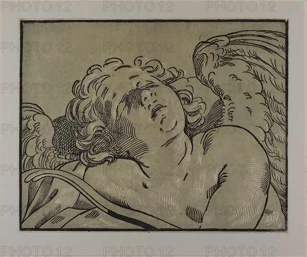 Bust of Sleeping Cupid, 1627/53, Bartolomeo Coriolano (Italian, c. 1599-c. 1676), after Guido Reni (Italian, 1575-1642), Italy, Chiaroscuro woodcut from two blocks in grayish-green and black on cream laid paper, 298 x 378 mm (image), 302 x 380 mm (sheet)