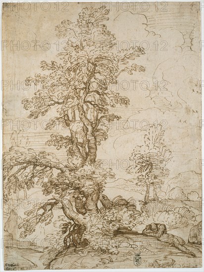 Landscape with Man Sleeping beneath Tree (recto), Landscape with a Horseman (verso), 1595, Annibale Carracci, Italian, 1560-1609, Italy, Pen and brown ink (recto) and pen and brown, purple, red, and green inks (verso) on cream laid paper, 304 x 225 mm