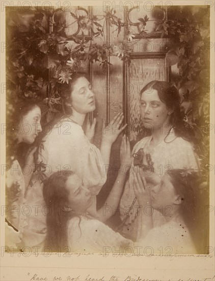 Have we not Heard the Bridegroom is so Sweet, August 1874, Julia Margaret Cameron, English, 1815–1879, England, Albumen print, 32.8 × 27.5 cm (image/paper), 44.3 × 35.4 cm (mount)