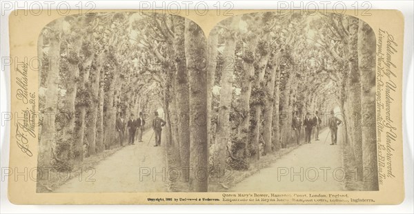Queen Mary’s Bower, Hampton Court, London, England, 1892, Underwood & Underwood, American, active 1881–1920, United States, Albumen silver print, stereo, 8 x 7.7 cm (each image), 8.8 x 17.8 cm (card)