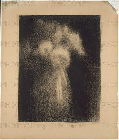 Roses in a Vase, 1881/83, Georges Seurat, French, 1859-1891, France, Black Conté crayon on ivory laid paper, discolored to tan, edge mounted on tan wove paper, 311 × 240 mm