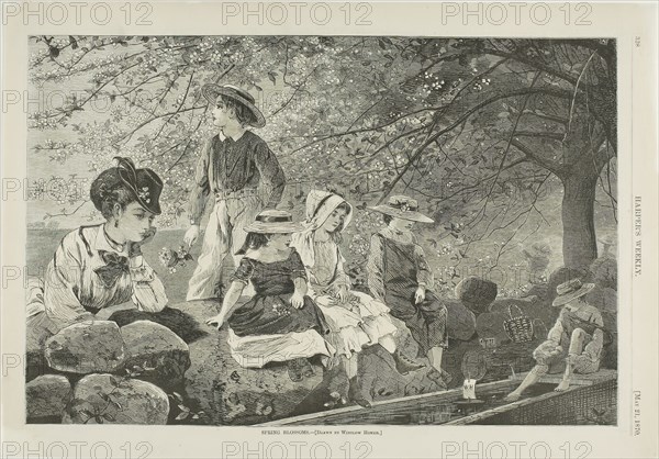Spring Blossoms, published May 21, 1870, Winslow Homer (American, 1836-1910), published by Harper’s Weekly (American, 1857-1916), United States, Wood engraving on buff wove paper, 233 x 351 mm (image), 274 x 390 mm (sheet)