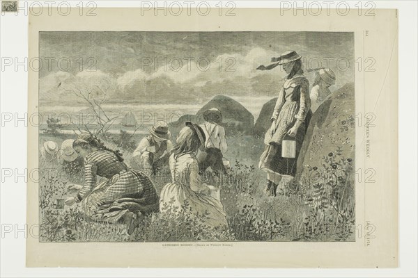 Gathering Berries, published July 11, 1874, Winslow Homer (American, 1836-1910), published by Harper’s Weekly (American, 1857-1916), United States, Wood engraving on buff wove paper, 230 x 346 mm (image), 285 x 406 mm (sheet)