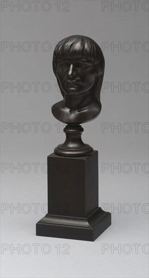 Head of an American Indian, Modeled 1848/49, cast 1849, Henry Kirke Brown, American, 1814–1886, United States, Bronze on bronze plinth, 19.4 × 6 × 6 cm (7 5/8 × 2 3/8 × 2 3/8 in.)