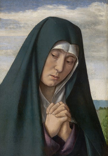 Fragment from Christ Carrying the Cross: Mourning Virgin, 1500/05, Jean Hey, known as the Master of Moulins, Active Lyon and Moulins, c. 1475–c. 1505, Unknown Place, Oil on panel, 10 13/16 × 7 7/8 in. (27.5 × 19.9 cm), image: 10 3/8 × 7 1/4 in. (26.3 × 18.4 cm)