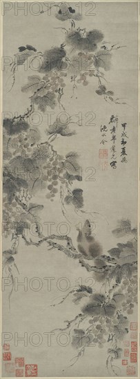 Squirrel and Grapes, 1694, Shen Yongling, Chinese, 1614-1698, China, Hanging scroll, ink and color on paper, 33 1/5 × 12 1/4 in. (84.7 × 30.6 cm)