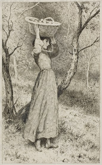 Young Girl in an Orchard with a Basket of Fruit, c. 1850, Miles Birket Foster, English, 1825-1899, United Kingdom, Etching, retouched in graphite, on ivory laid paper, 188 x 115 mm (image), 228 x 165 mm (plate), 331 x 239 mm (sheet)