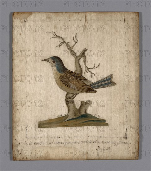 Picture of a Bird, 18th century, France, Silk, satin weave, embroidered with silk in satin and stem stitches, couching, 22.2 19 cm (8 3/4 × 7 1/2 in.)