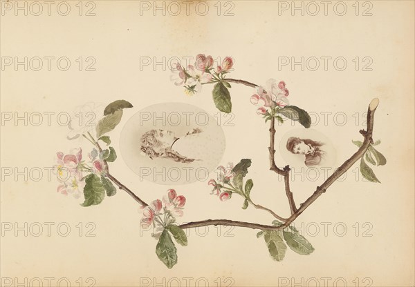 The Madame B Album, 1870s, Marie-Blanche-Hennelle Fournier, French, 1831–1906, France, Albumen prints with watercolor (in album), 29.2 × 41.9 cm