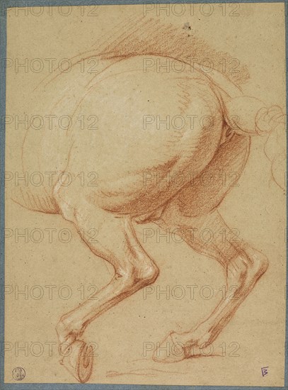 The Hind Legs of a Horse, n.d., Charles Le Brun, French, 1619-1690, France, Red and white chalk on brown laid paper, laid down on cream laid paper, with a blue laid paper border, 285 × 213 mm