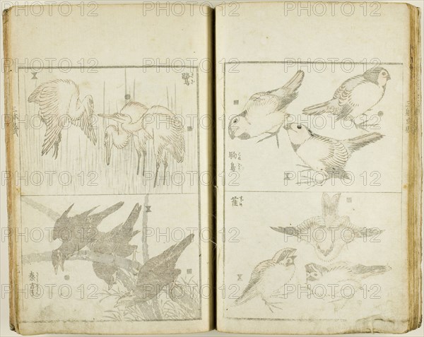 Santai gafu (Album of Drawings in Three Ways), complete in 1 vol., c. 1816, Katsushika Hokusai ?? ??, Japanese, 1760-1849, Japan, Book, woodblock printed, 22.5 x 15.5 cm (8 7/8 x 6 1/8 in.) (closed), 22.5 x 28.3 cm (8 7/8 x 11 1/8 in.) (opened)