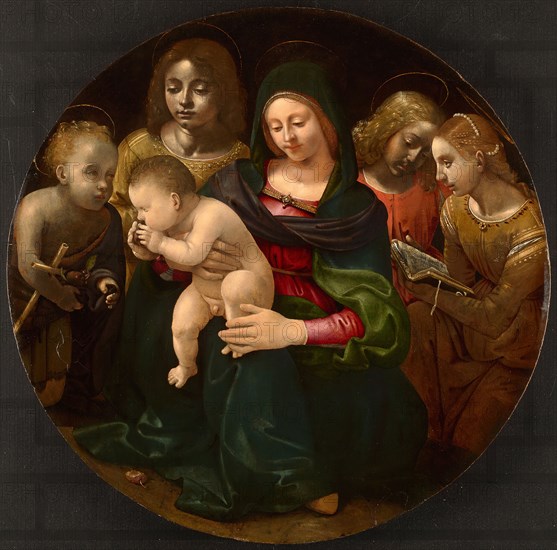 Virgin and Child with the Young Saint John the Baptist, Saint Cecilia, and Angels, c. 1505, Piero di Cosimo, Italian, 1461/62–1521, Italy, Oil on poplar panel, Diameter: 75 cm