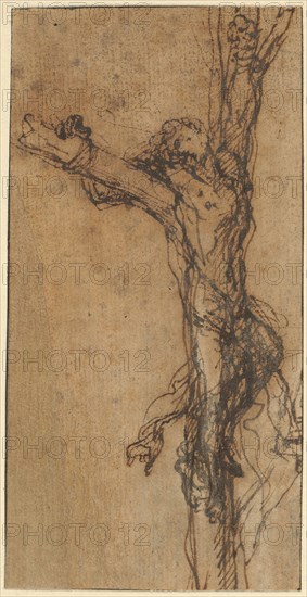 Study for Polycrates’ Crucifixion, c. 1662, Salvator Rosa, Italian, 1615-1673, Italy, Pen and brown iron gall ink on tan laid paper, laid down on cream laid paper, 132 x 67 mm