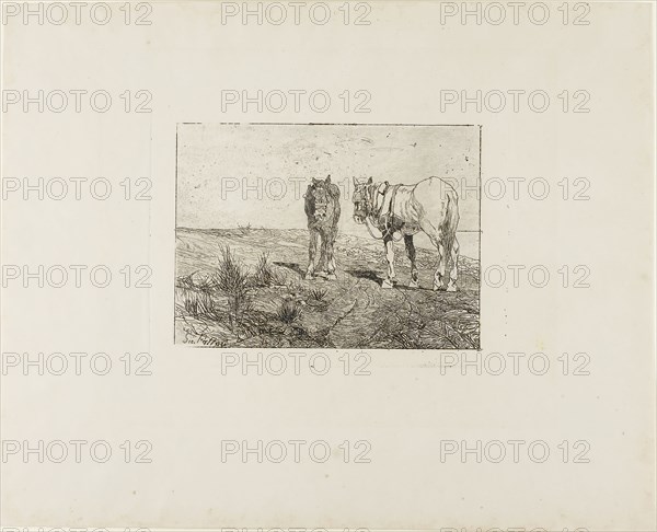 Horses’ Rest, c. 1885, Giovanni Fattori, Italian, 1825-1908, Italy, Etching with drypoint and foul biting on buff wove paper, 143 x 194 mm (image), 166 x 229 mm (plate), 335 x 417 mm (sheet)