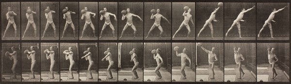 Animal Locomotion, Plate 319, 1887, Eadweard Muybridge, English, active United States, 1830–1904, England, Collotype, from "Animal Locomotion