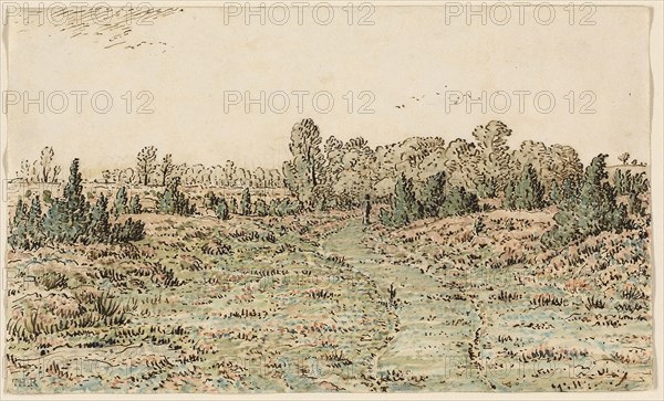 Footpath in the Barbizonnières, 1864, Theodore Rousseau, French, 1812-1867, France, Pen and brown and black ink, with watercolor, over graphite, on ivory wove paper, 123 × 204 mm