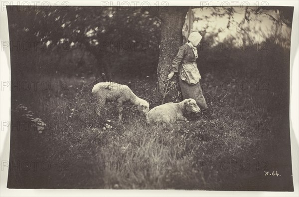 Shepherdess Leaning Against a Tree, with Two Sheep, 1870, Giraudon’s Artist, French, active c. 1875–1880, France, Albumen print, 11.4 × 17.2 cm (image/paper)