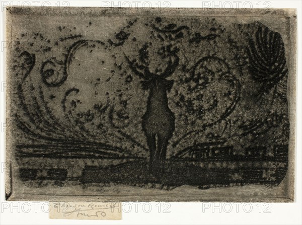 A Stag, A Study, 1890–98, Theodore Roussel, French, worked in England, 1847-1926, England, Soft ground etching in black on cream laid paper, 61 × 91 mm (image/plate), 67 × 91 mm (sheet)